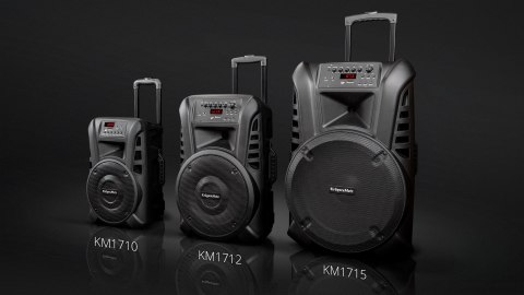 Aktywna kolumna głośnikowa (z 2 mikrofonami bezprzewodowymi UHF, SD, Bluetooth, FM, USB) 20 Watt Aktywna kolumna głośnikowa (z 2 mikrofonami bezprzewodowymi UHF, SD, Bluetooth, FM, USB) 20 Watt