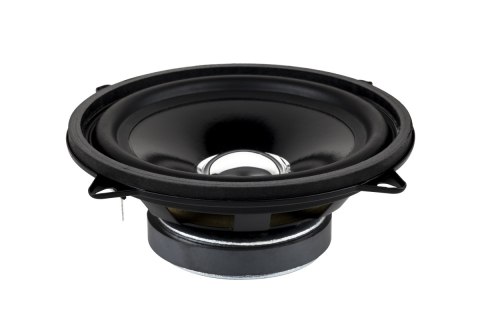 Głośnik 5" DBS-G1301 8 Ohm (z uszami) Głośnik 5" DBS-G1301 8 Ohm (z uszami)