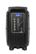Kolumna aktywna ( z 2 mikrofonami bezprzewodowymi, SD, Bluetooth, USB) 10" 20W