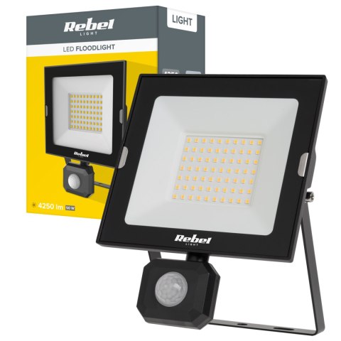 Reflektor LED 50W z sensorem zmierzchu i ruchu, 4000K, 230V Reflektor LED 50W z sensorem zmierzchu i ruchu, 4000K, 230V