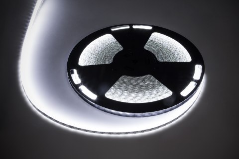 Sznur diodowy 25m Rebel (60x5050SMD/m), wodoodporny, zimny biały, 12V Sznur diodowy 25m Rebel (60x5050SMD/m), wodoodporny, zimny biały, 12V