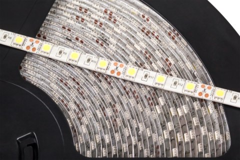 Sznur diodowy 25m Rebel (60x5050SMD/m), wodoodporny, zimny biały, 12V Sznur diodowy 25m Rebel (60x5050SMD/m), wodoodporny, zimny biały, 12V