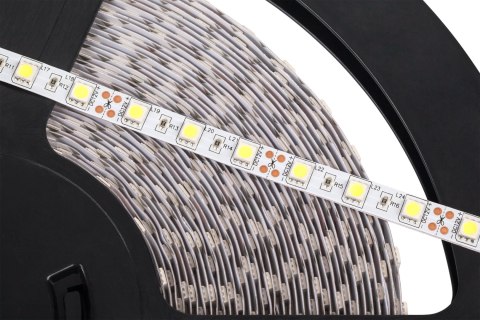 Sznur diodowy 25m Rebel (60x5050SMD/m), zimny biały, 12V Sznur diodowy 25m Rebel (60x5050SMD/m), zimny biały, 12V