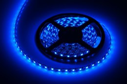 Sznur diodowy 5m niebieski , wodoodporny (300x 5050 SMD)