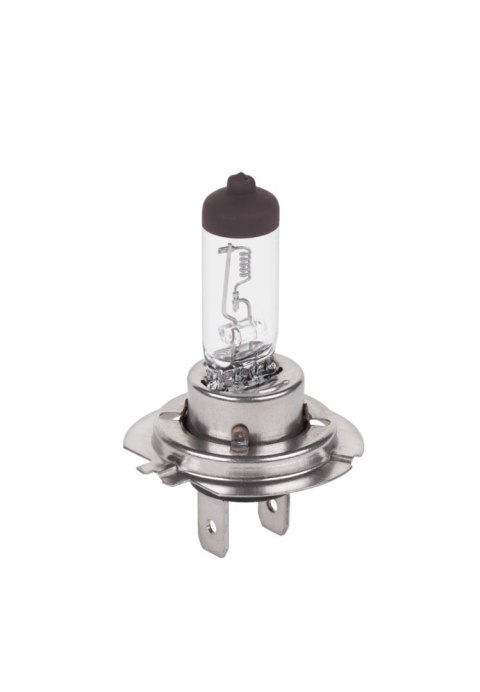 Żarówka samochodowa H7-24V/70W Żarówka samochodowa H7-24V/70W