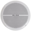 GŁOŚNIK SUFITOWY WS-150 50 W BLOW